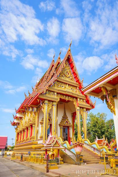 เกษตรเฟสติวัล